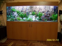 Bútoros akvárium