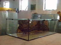 'L' alakú akvárium